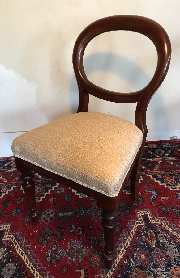 Cedar Balloon Back Chairs Coburg Hill Antiques